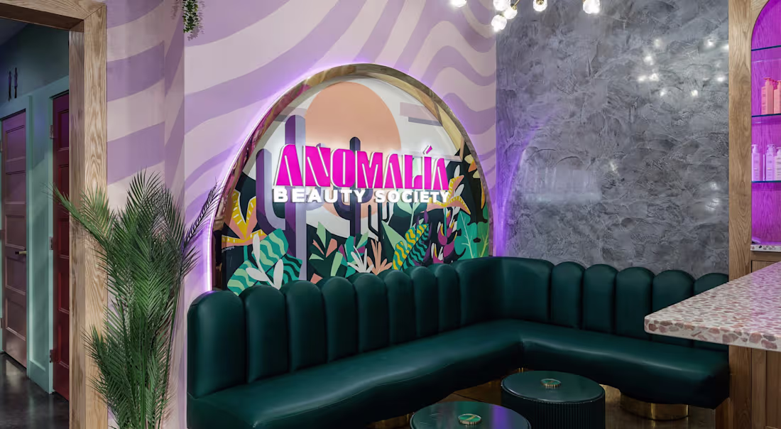 Cover image for Anomalía Society