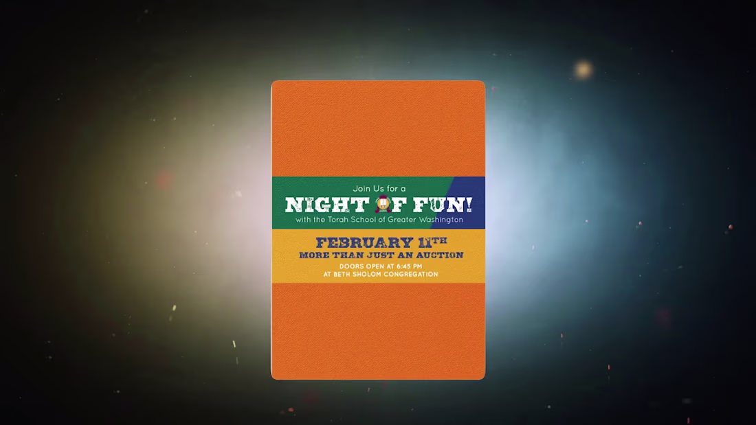 Cover image for Night Fun (School video)