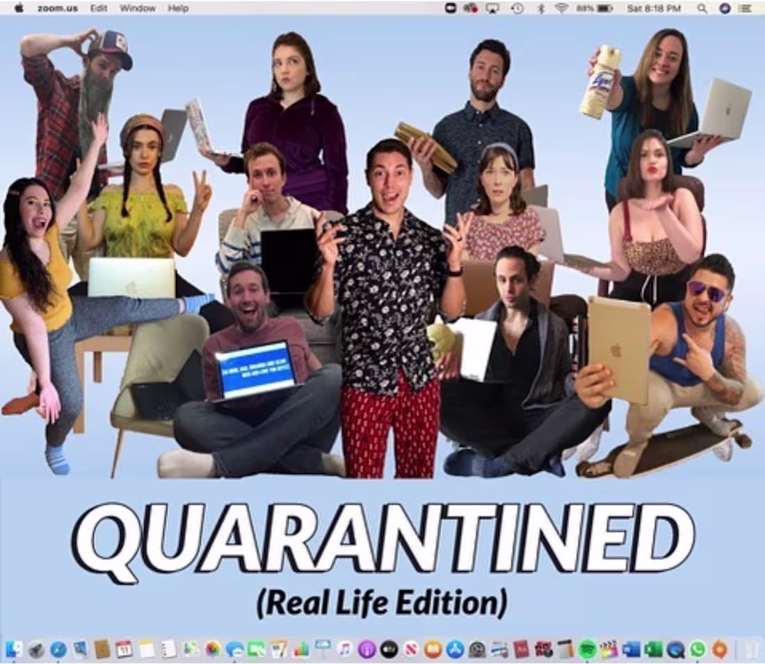 Cover image for Quarantined: Real Life Edition shows