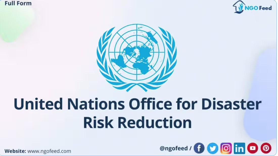 Cover image for Proofreading a UN Paper on Disaster Risk Reduction