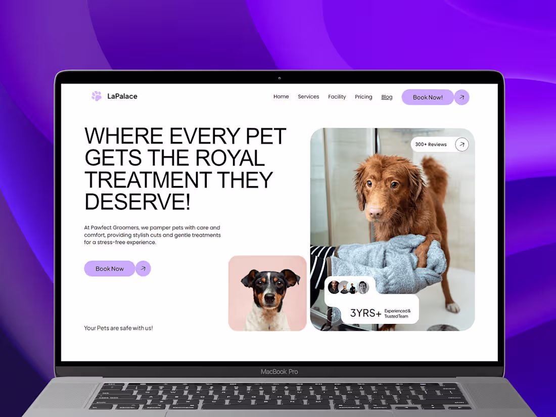 Cover image for Complex Compelling Websites in Framer