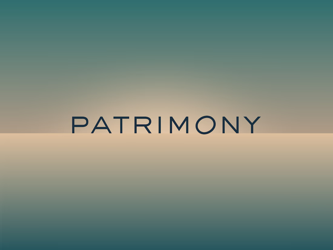 Cover image for Patrimony — Wealth Management for the Next Generation