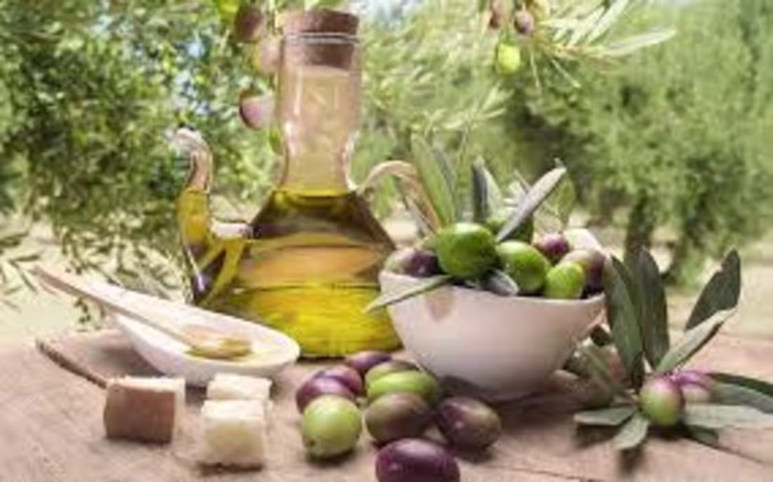 Cover image for Healthy Living SEO Blog: