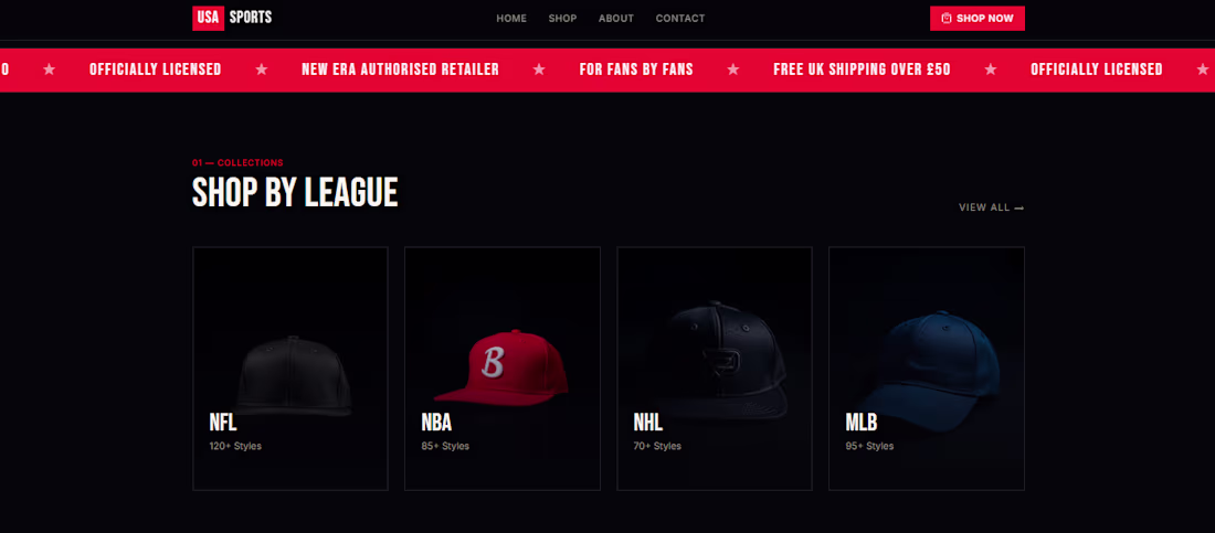 Cover image for Project Overview:
USA Sports Hub is