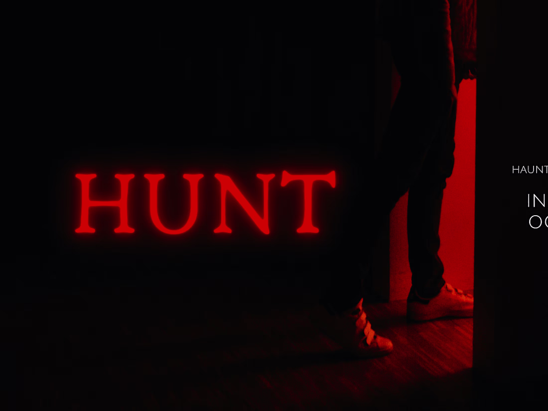 Cover image for The Hunt