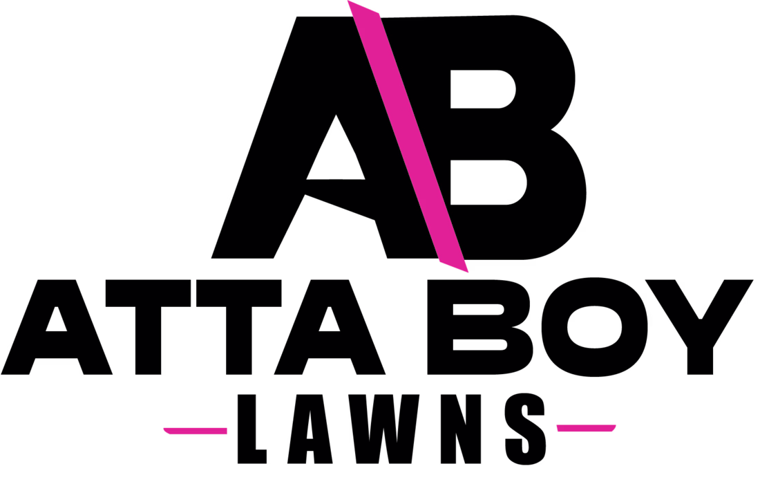 Cover image for Brand Identity Design