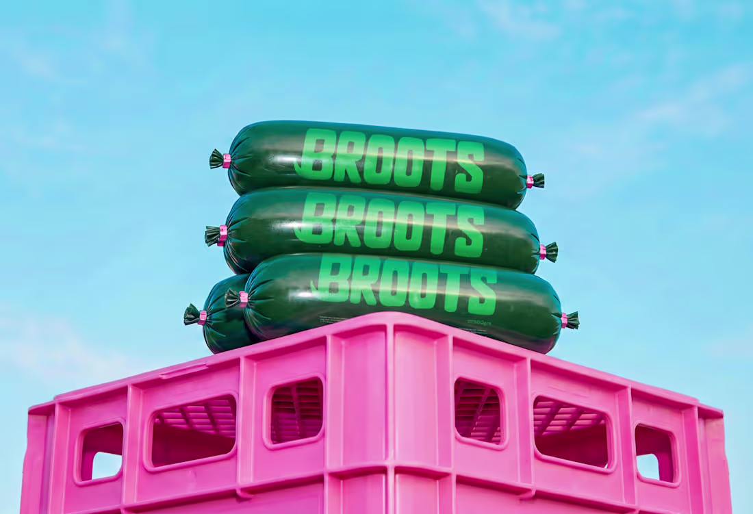 Cover image for Brand Identity Development for Broots