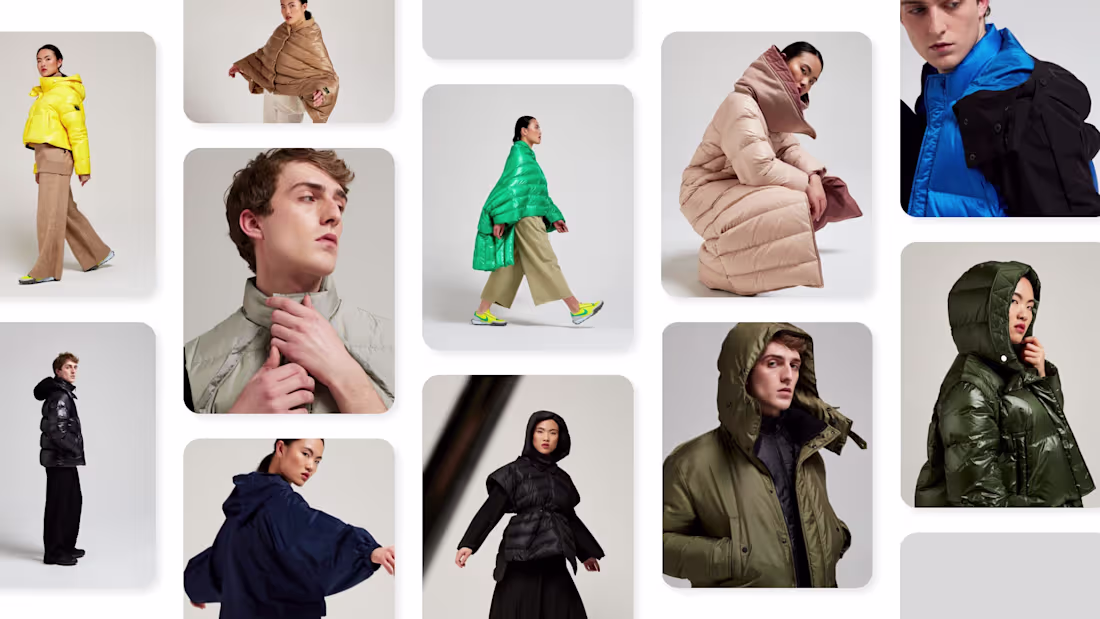 Cover image for Anitroc - Art Direction and Website