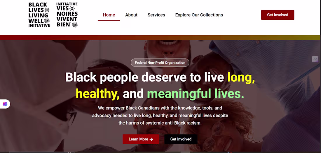 Cover image for Black Lives website to protect