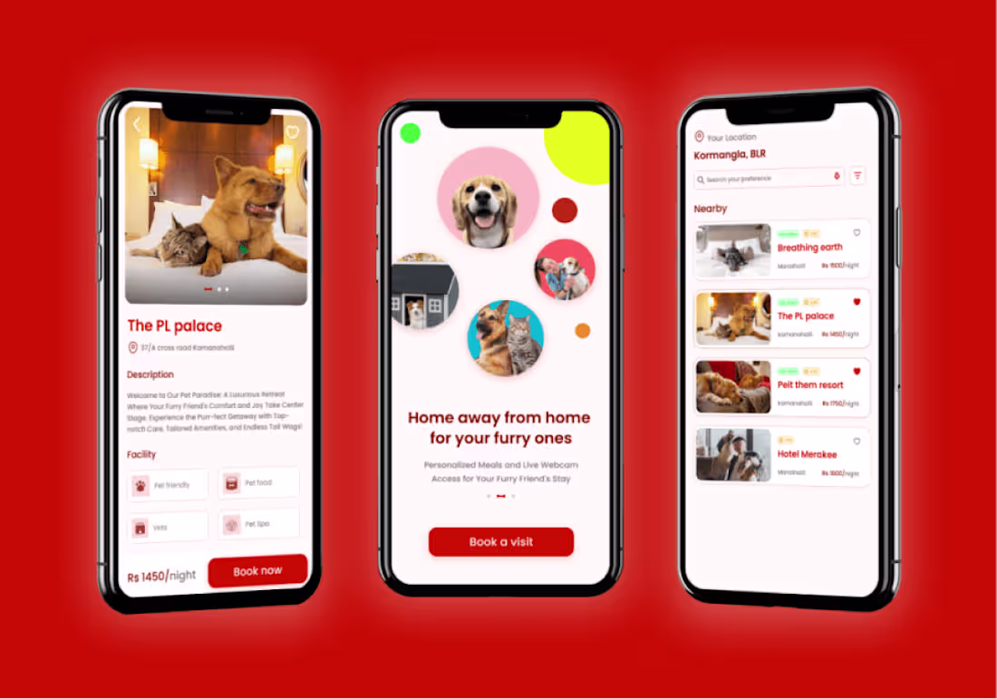 Cover image for User Research and Mobile App Design