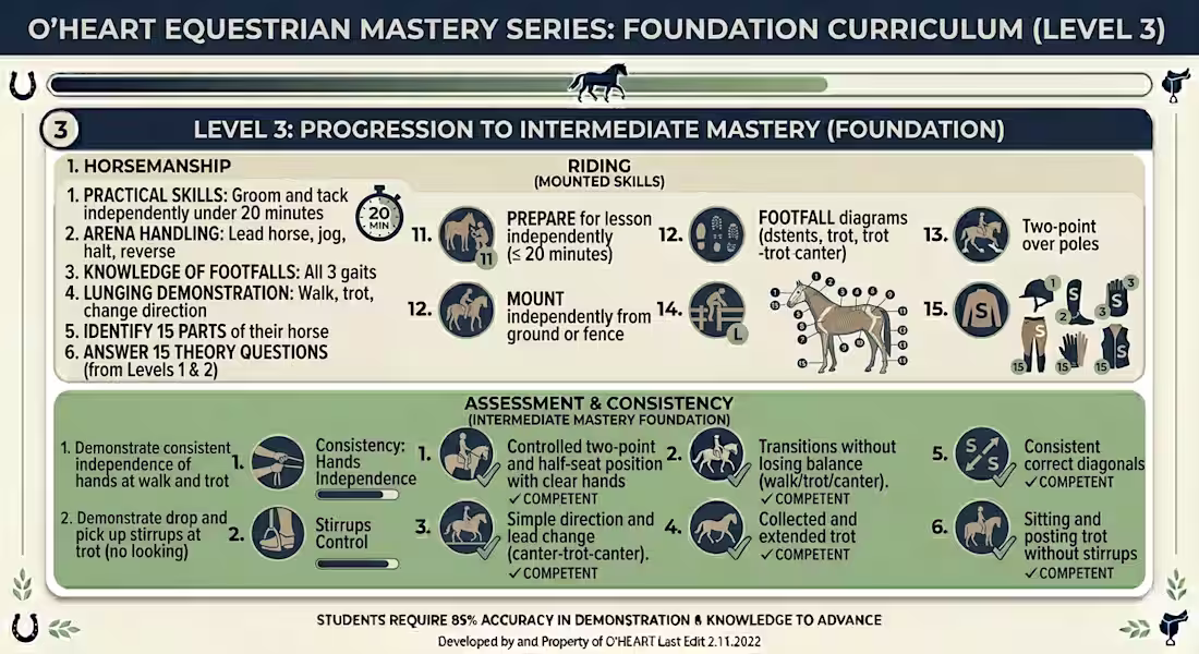 Cover image for Developed a comprehensive, multi-level framework
