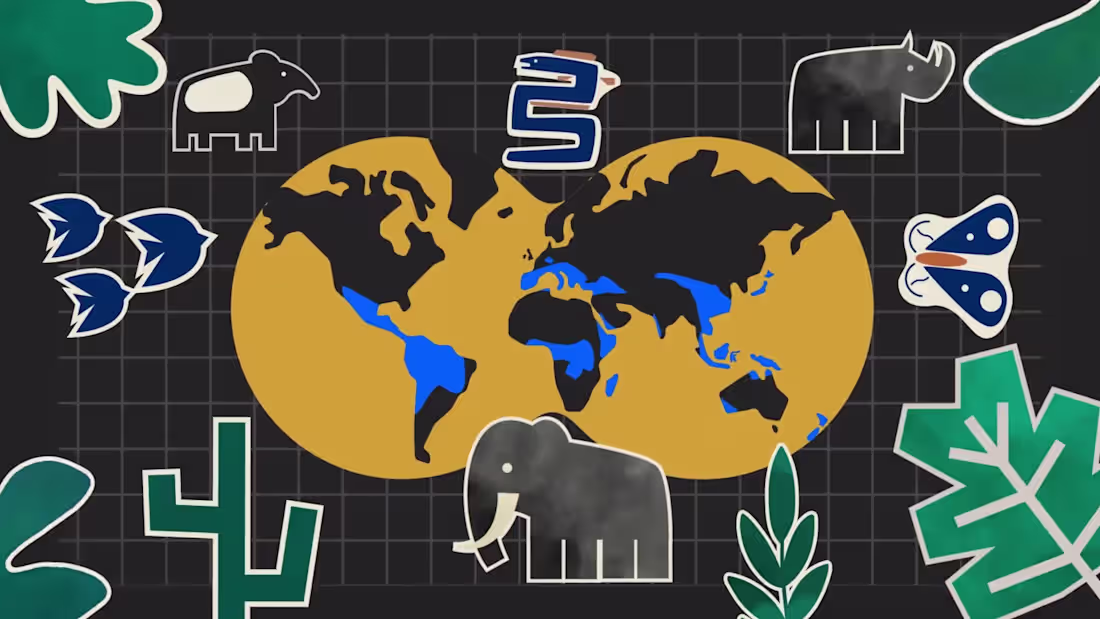 Cover image for Exploring the links between language and nature 