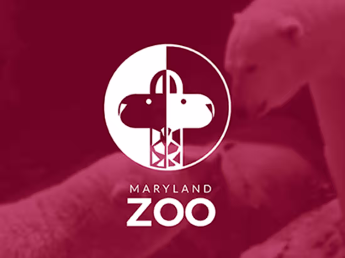 Cover image for Maryland Zoo Redesign Project