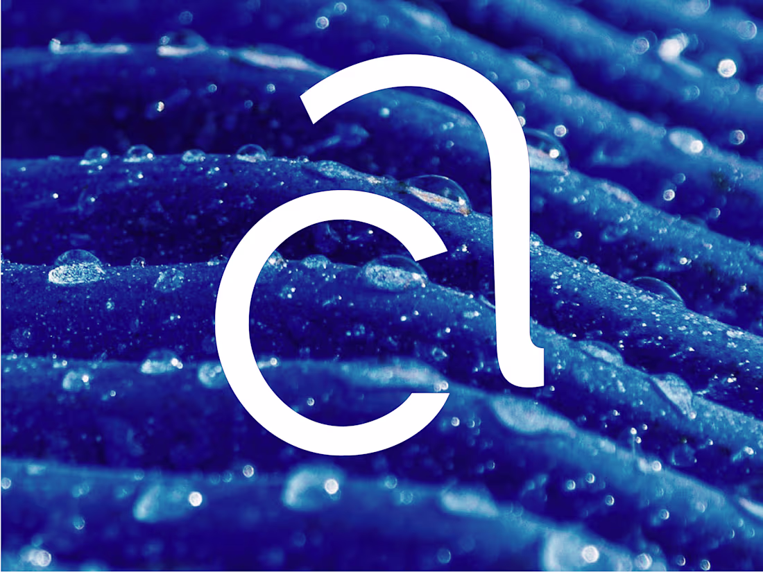 Cover image for Logo design for a personal brand