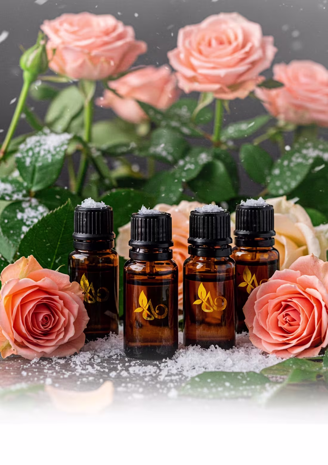 Cover image for Aromantic