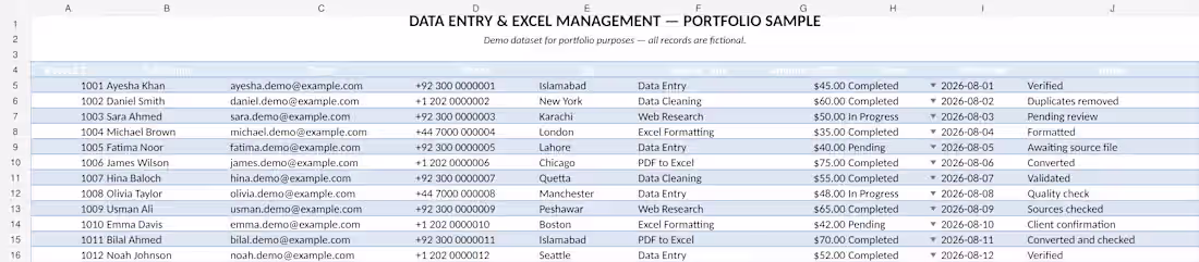 Cover image for Excel Data Entry & Data
