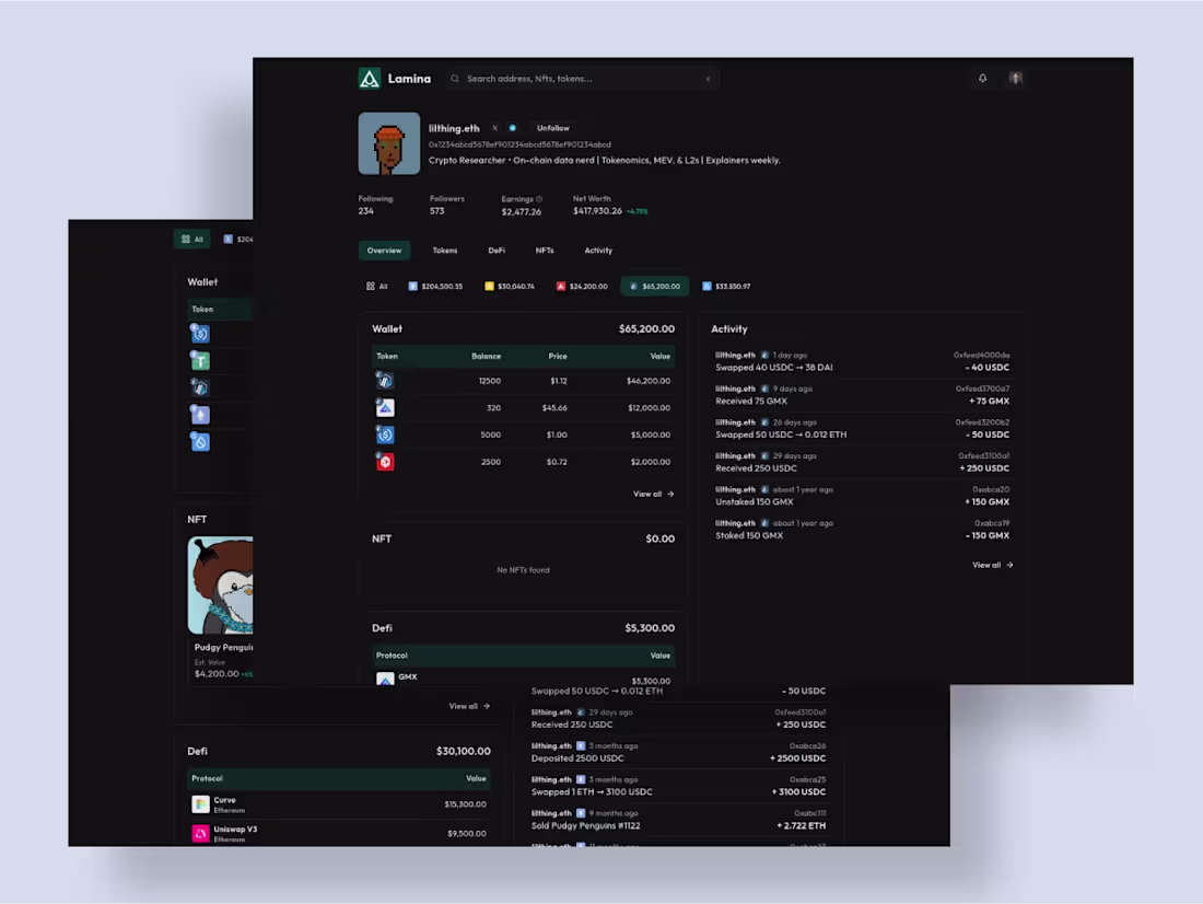 Cover image for Lamina: NFT Portfolio Dashboard Development