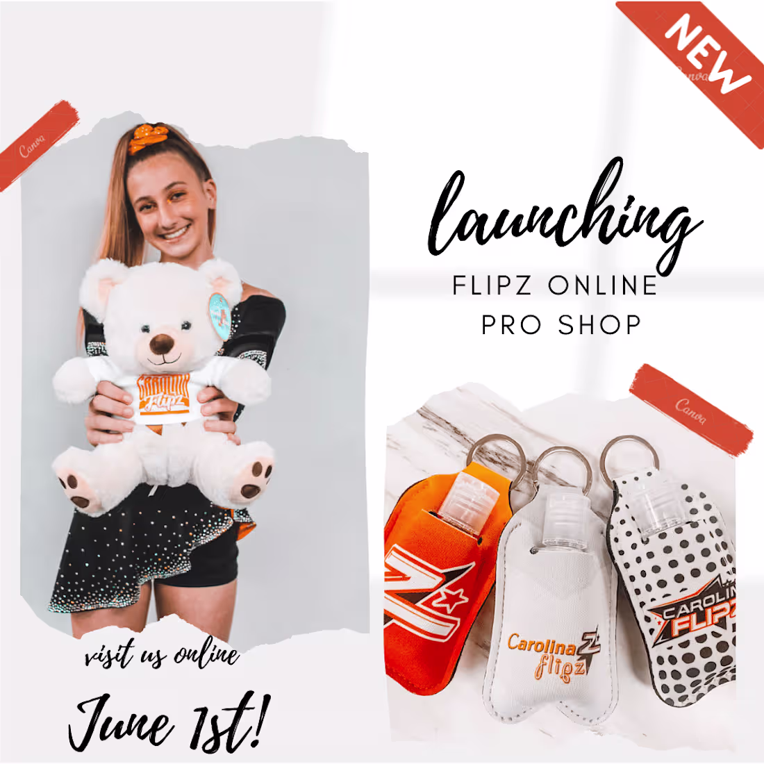 Cover image for Pro Shop Templates