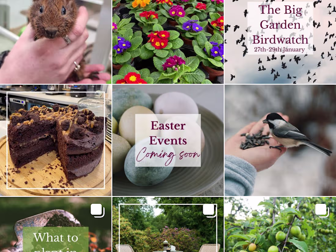 Cover image for Social Media that Defines Your Brand 