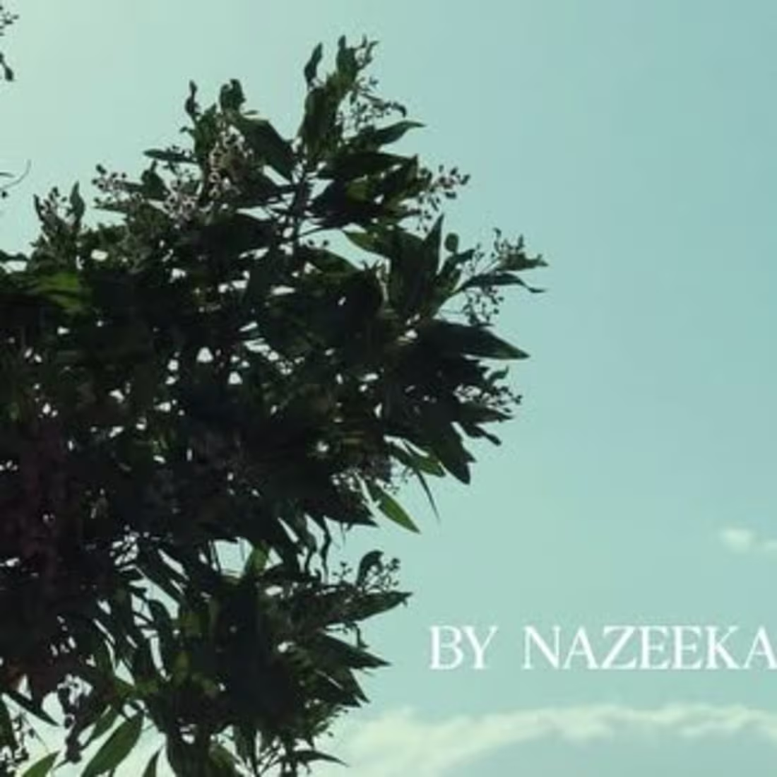 Cover image for Frame & Flow on Instagram: “Latest for @by_nazeeka”