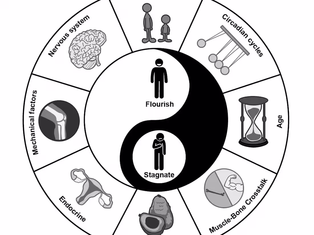 Cover image for Medical Concepts Illustrated
