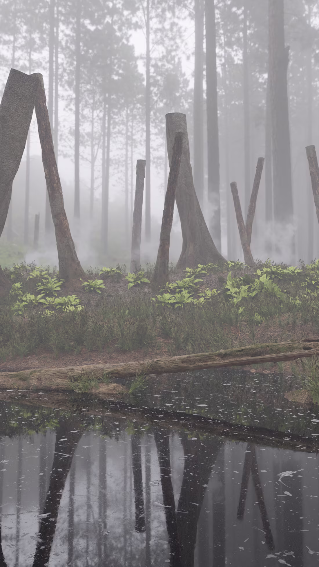 Cover image for Foggy Forest Render