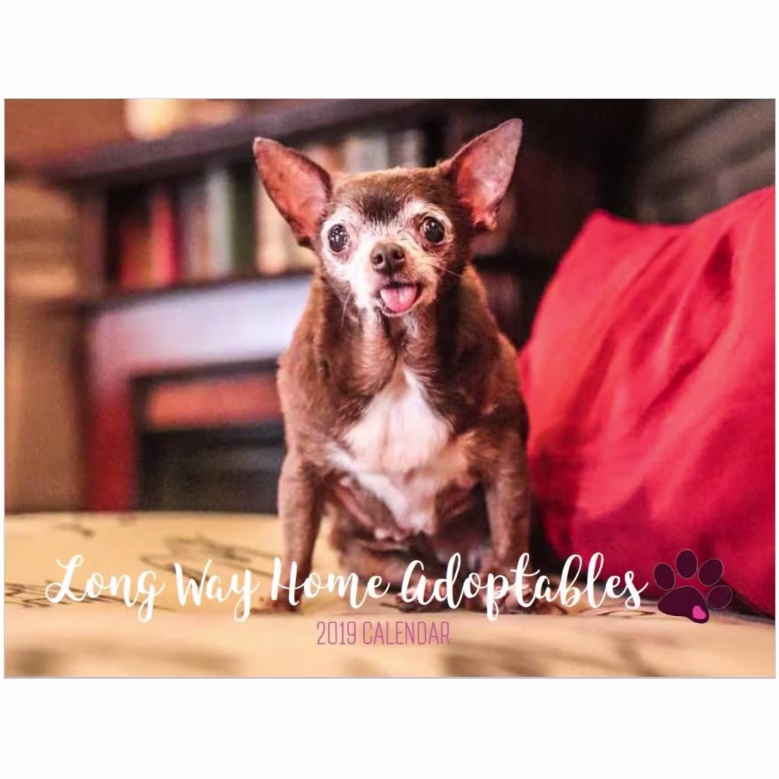 Cover image for 2020 LWHA Calendar – Long Way Home Adoptables