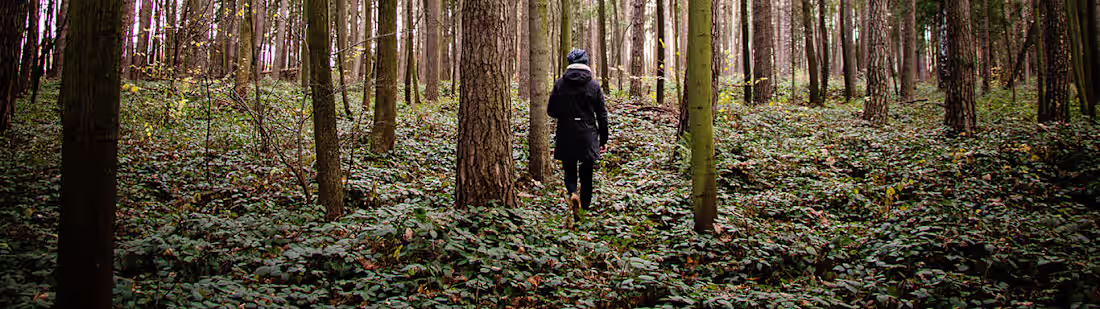 Cover image for Biodiversity and Conservation Management Master’s Degree Takes …