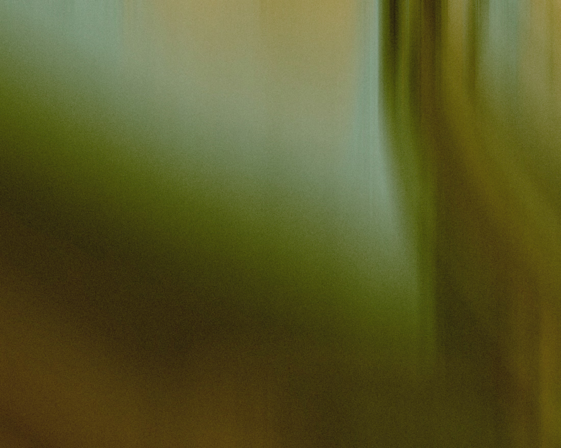 Cover image for Brand Partnership