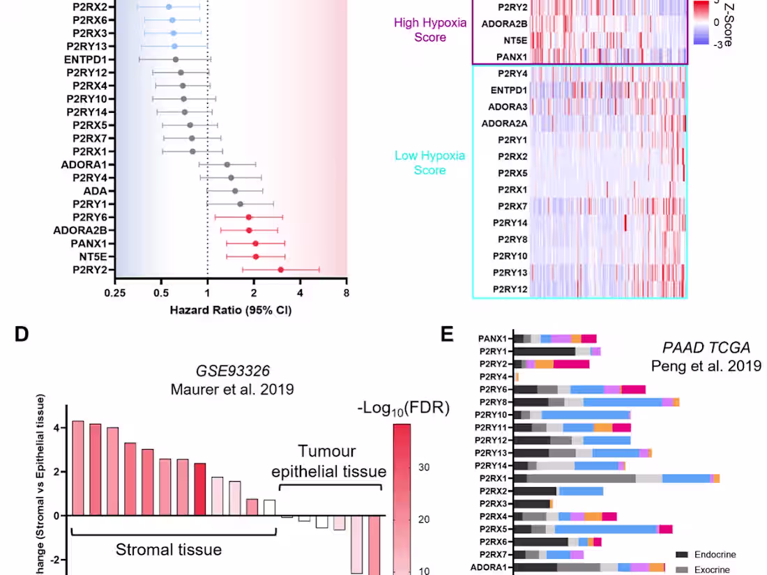 Cover image for Complete Cancer Target Characterisation with Public Datasets