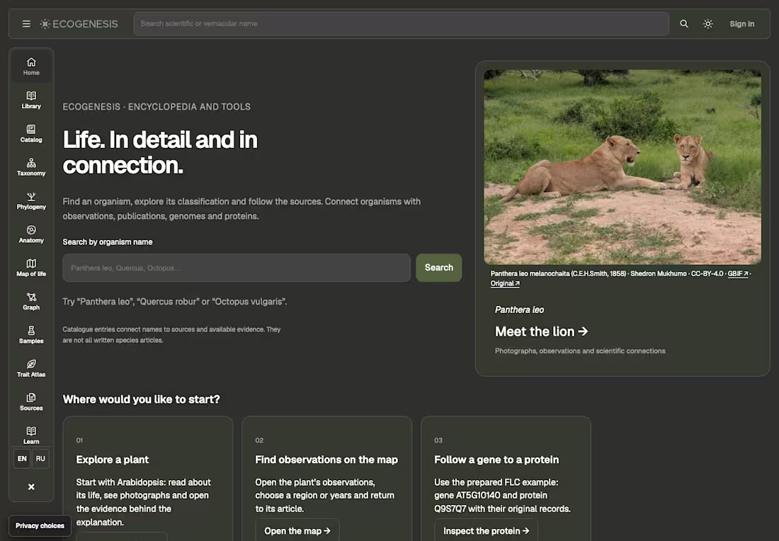 Cover image for A focused web app MVP