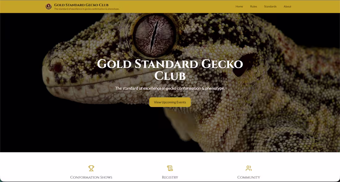 Cover image for Full-Stack Web App Development
