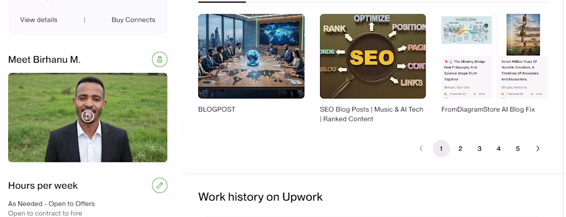 Cover image for WORK HISTRY 