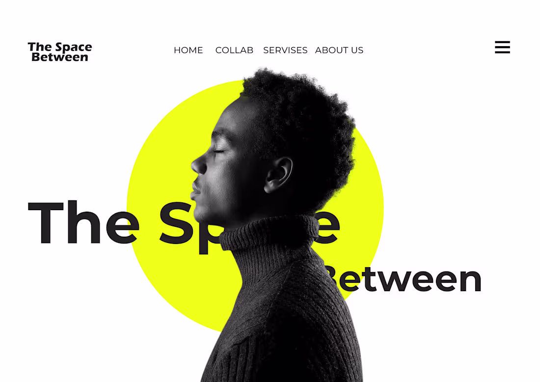 Cover image for Web Designer