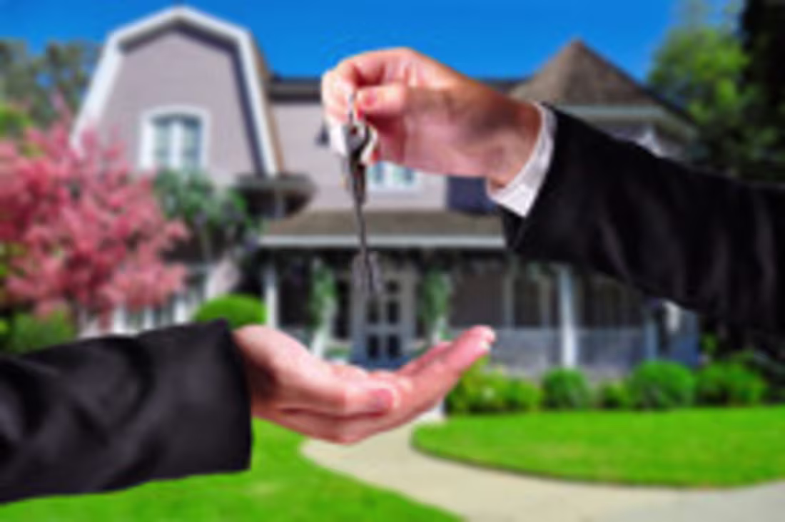 Cover image for Spruce School of Real Estate Blog