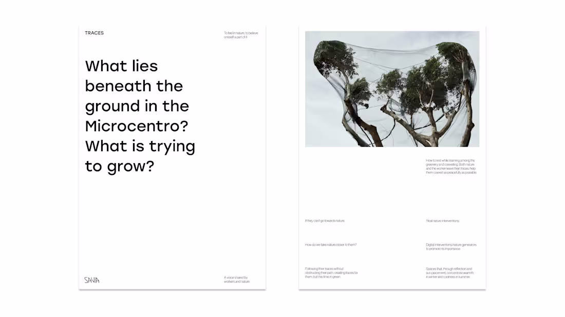 Cover image for Graphic Design for Creative Brands
