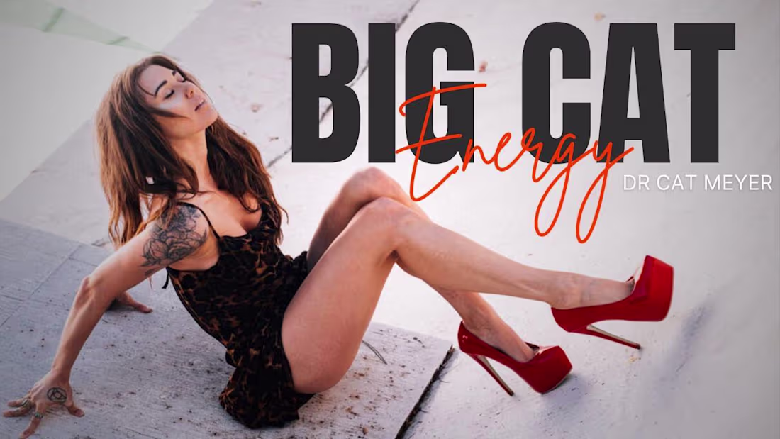 Cover image for Kajabi Evergreen Course, Big Cat Energy