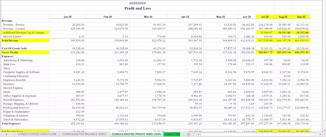 Cover image for Developed comprehensive financial reports in