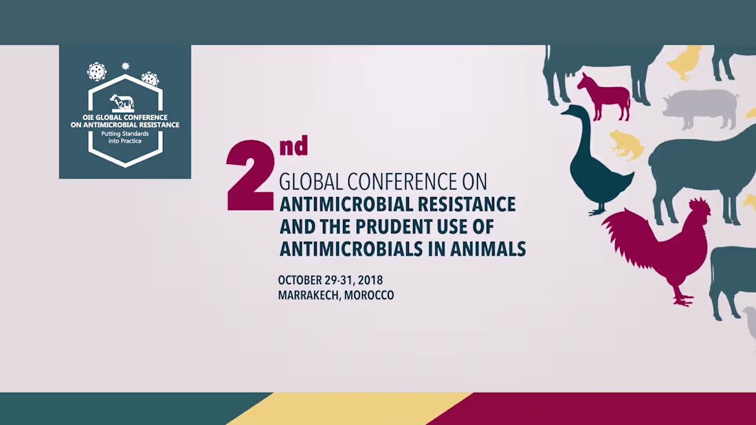 Cover image for 2nd Global Conference OIE