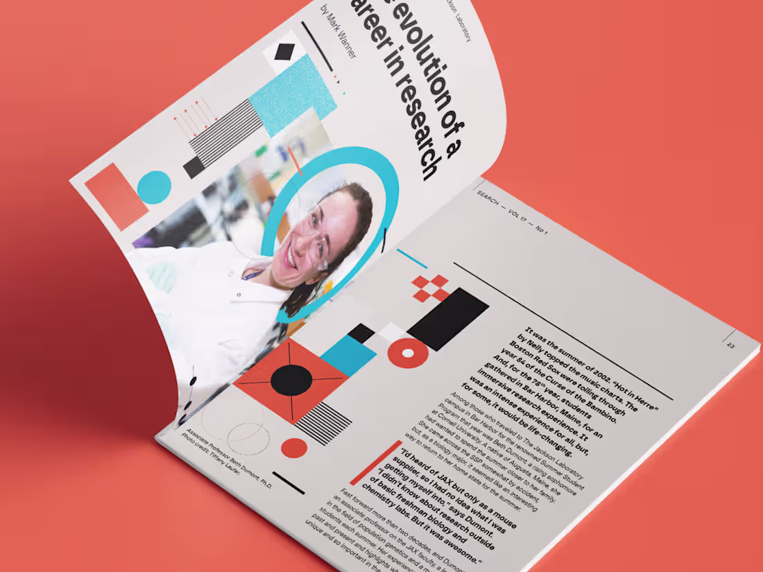 Cover image for Search Magizine 
