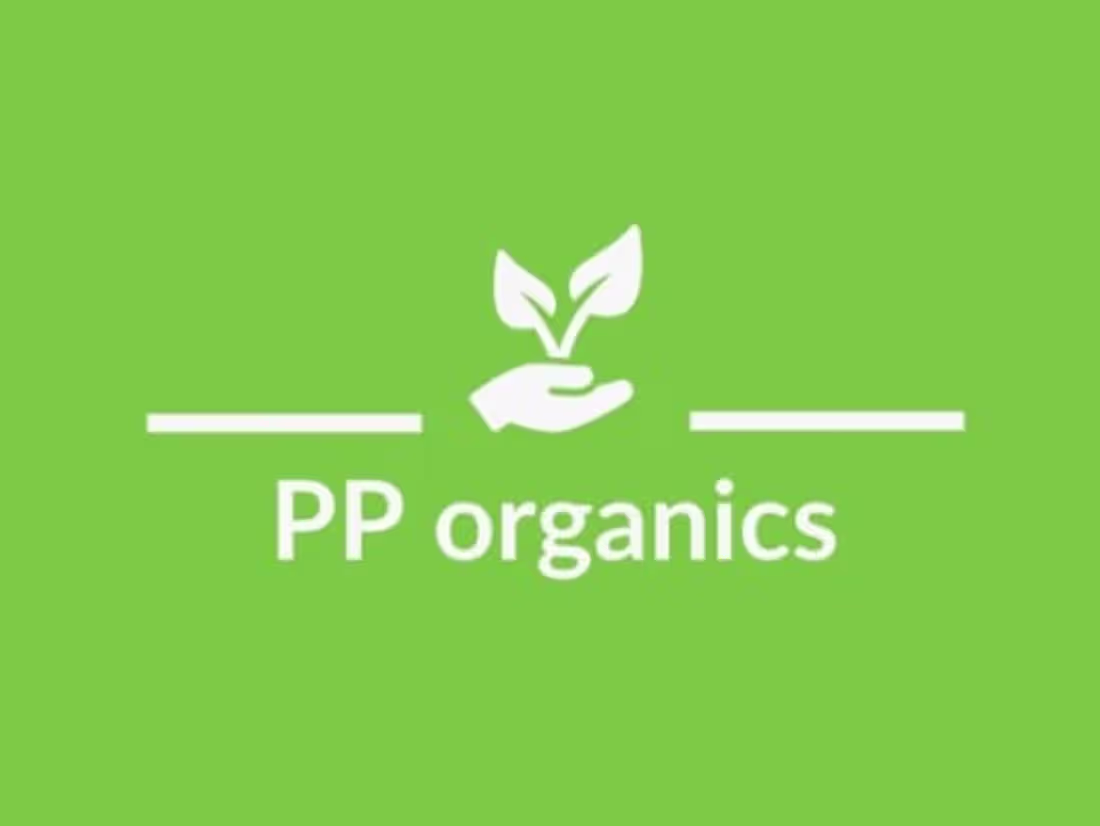 Cover image for Website creation