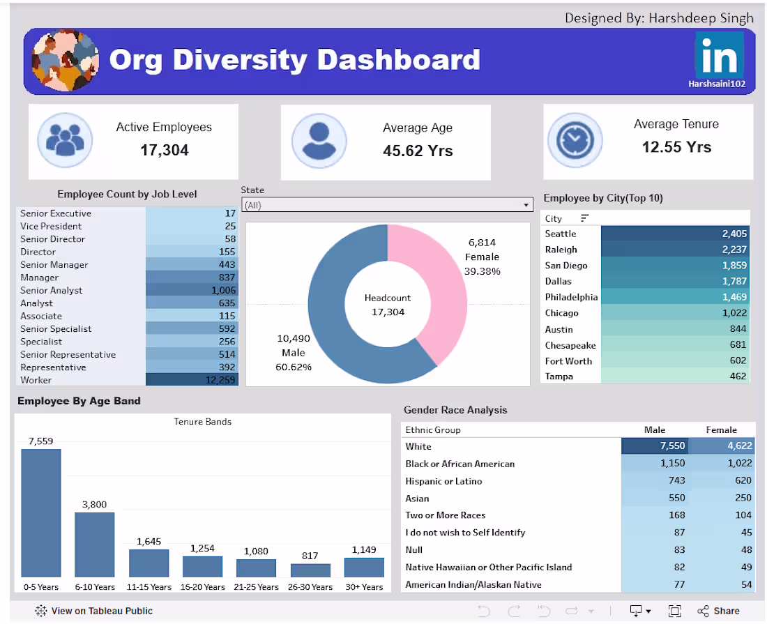 Cover image for Org Diversity Dashboard built in