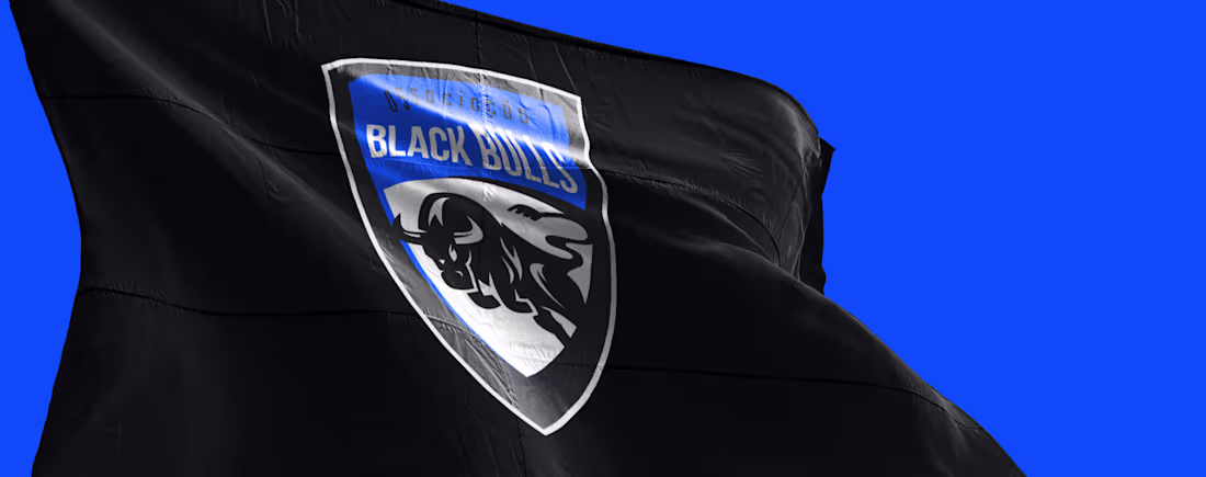 Cover image for Black Bulls Logo
