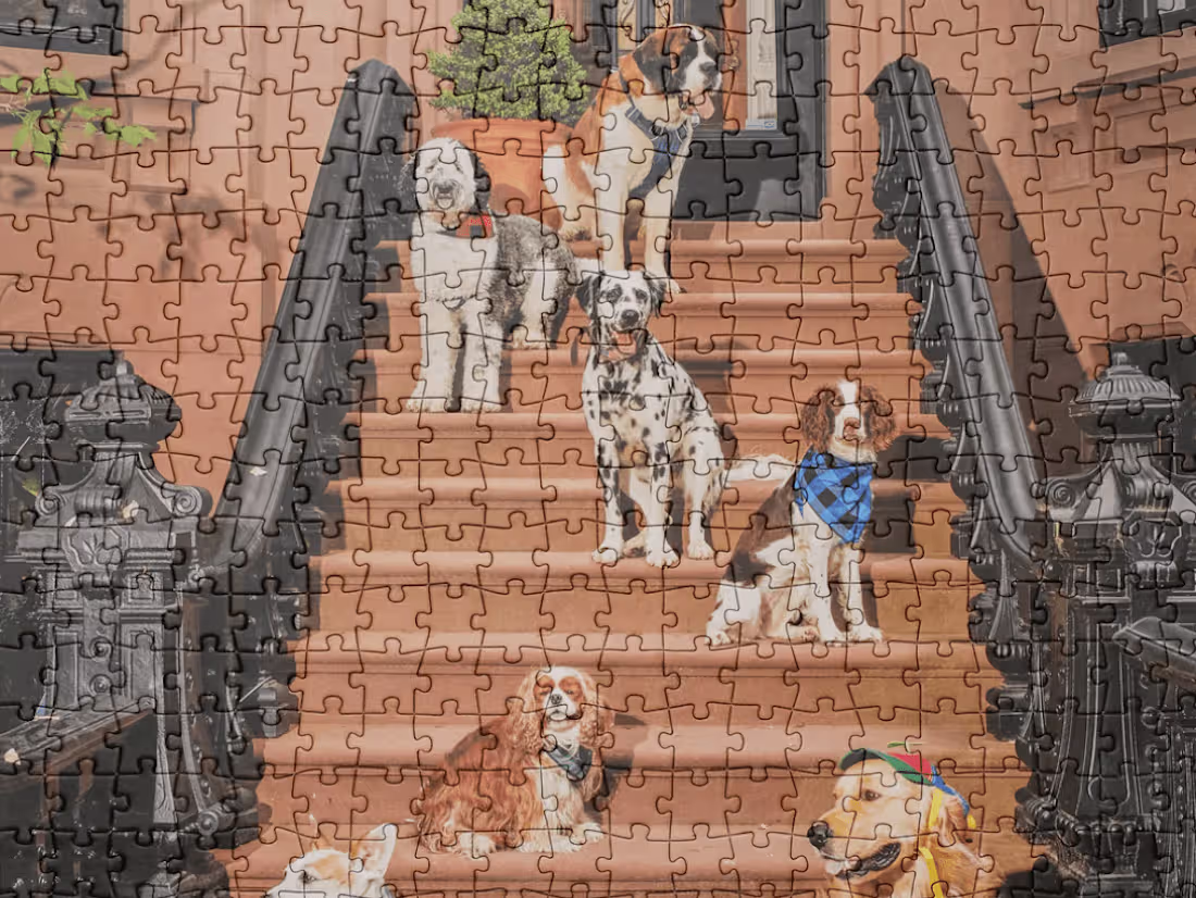 Cover image for Mesa Puzzles