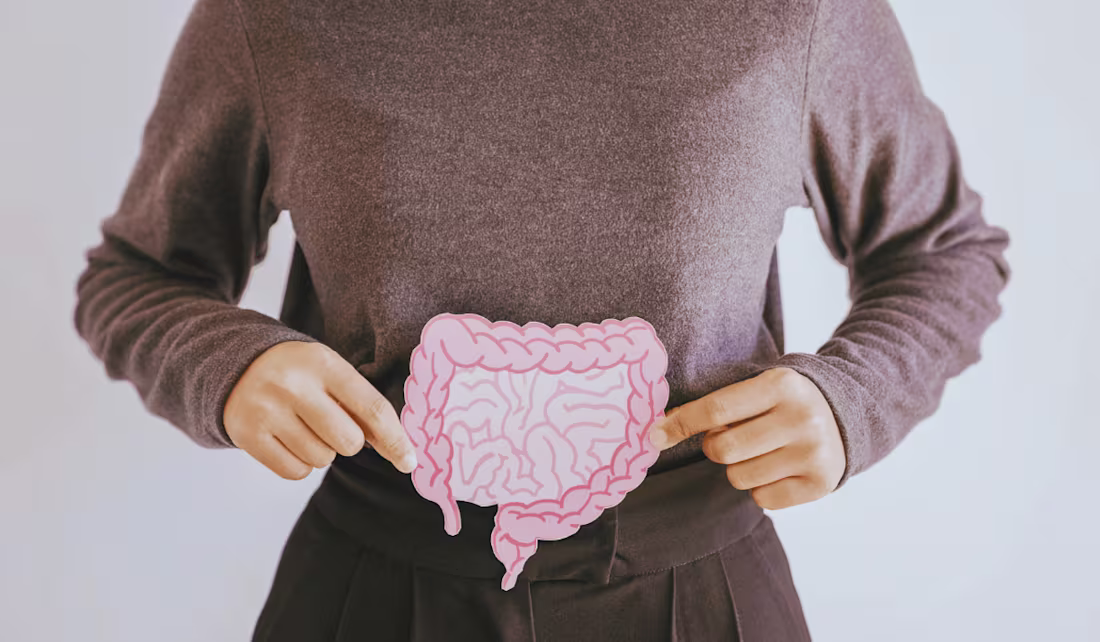 Cover image for Gut Health and Weight Management: Strategies for a Healthy Gut