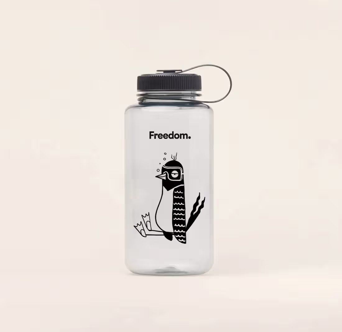 Cover image for Freedom. 
