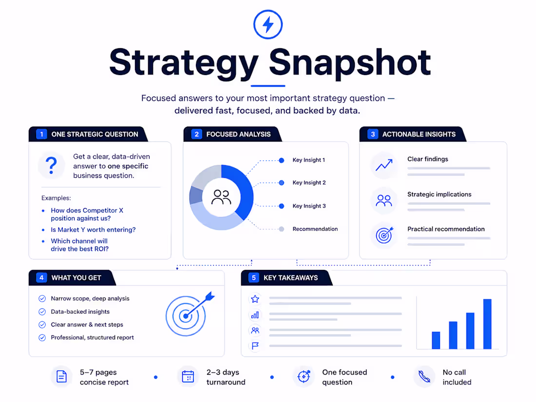 Cover image for Strategy Snapshot