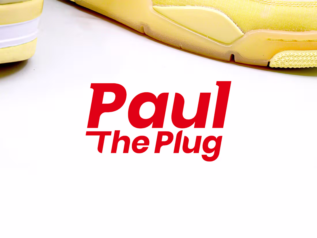 Cover image for Paul The Plug