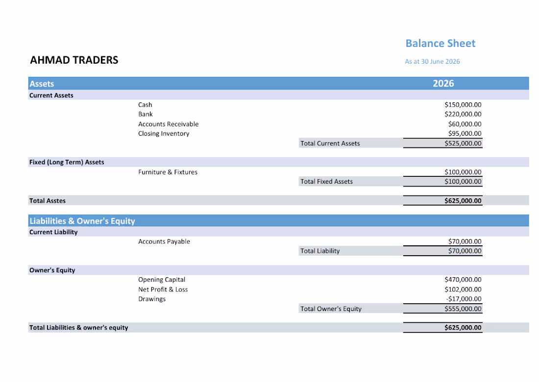 Cover image for "Prepared a complete Balance Sheet