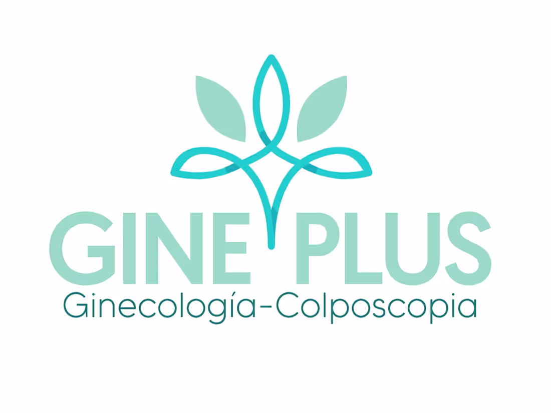 Cover image for Gineplus OB& Gyn